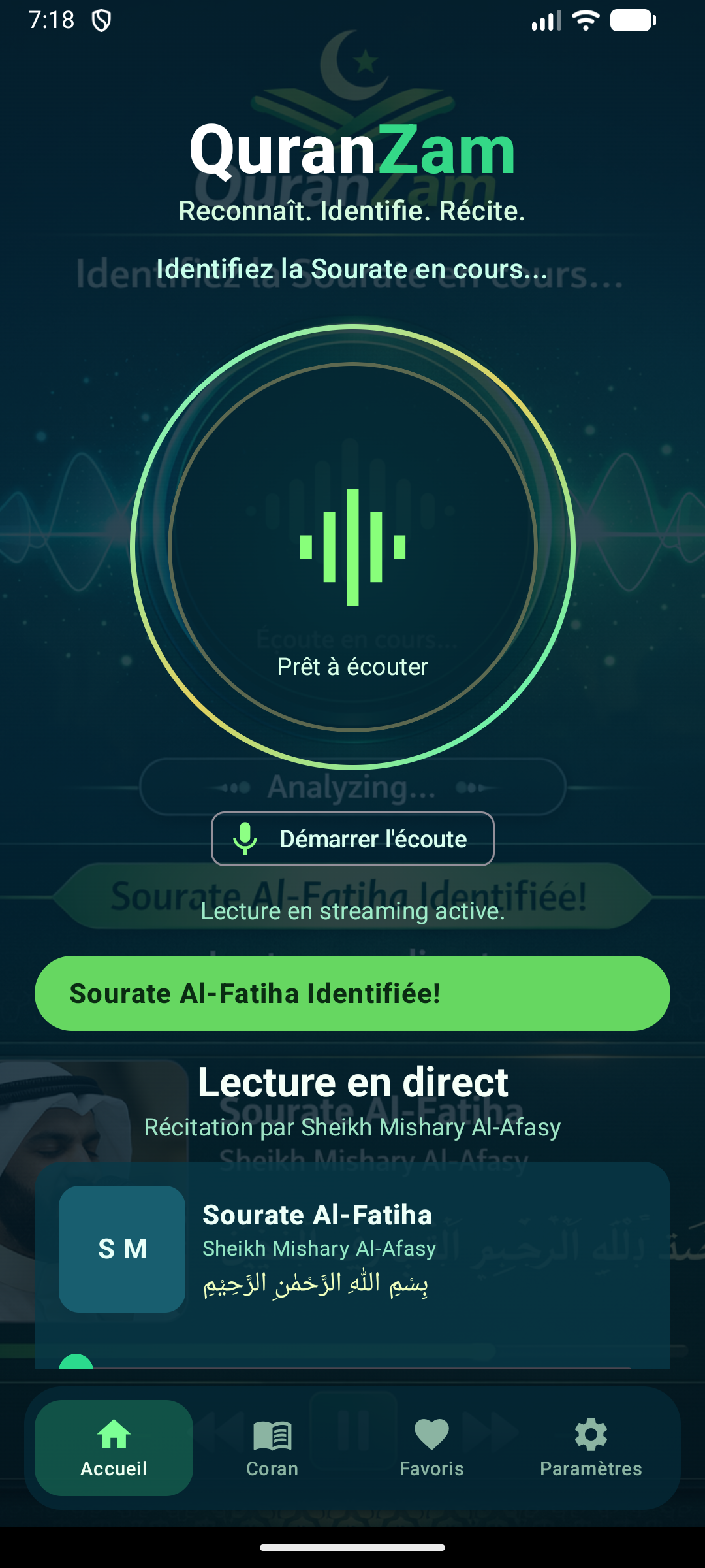 Aperçu Nuraliman Détection